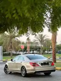 2013 Mercedes Benz CLS-Class