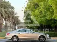 2013 Mercedes Benz CLS-Class