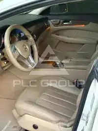 2013 Mercedes Benz CLS-Class