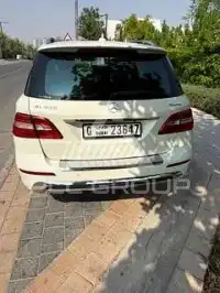 2013 Mercedes Benz M-Class