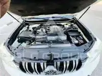 2013 Toyota Prado