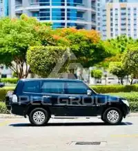 2014 Mitsubishi PAJARO