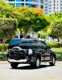 2014 Mitsubishi PAJARO