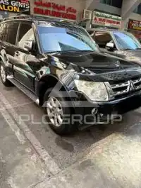 2014 Mitsubishi PAJARO