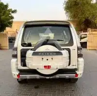 2014 Mitsubishi PAJARO