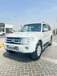 2014 Mitsubishi PAJARO