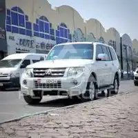 2014 Mitsubishi PAJARO