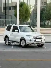 2014 Mitsubishi PAJARO