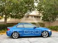 2014 BMW 218