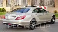 2014 Mercedes Benz CLS-Class