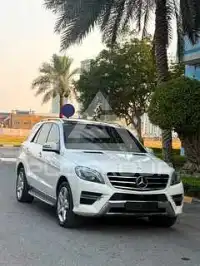 2014 Mercedes Benz GLE-Class