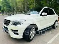 2014 Mercedes Benz M-Class