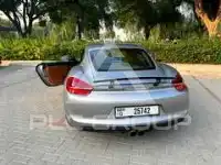 2014 Porsche Cayman