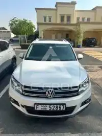 2014 Volkswagen Tiguan