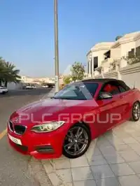 2015 BMW 218