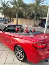 2015 BMW 218