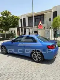 2015 BMW 218