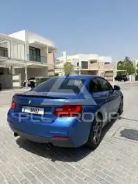2015 BMW 218