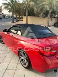2015 BMW 218