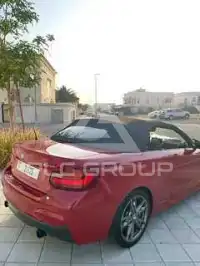 2015 BMW 218