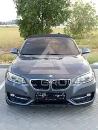 2015 BMW 218