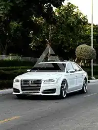 2015 Audi S8