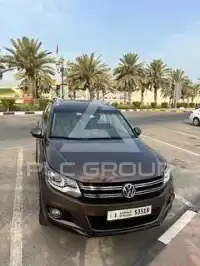 2015 Volkswagen Tiguan