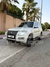 2016 Mitsubishi PAJARO