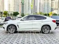 2016 BMW X6