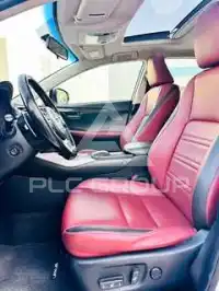 2016 Lexus NX