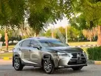 2016 Lexus NX