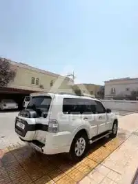 2017 Mitsubishi PAJARO