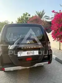 2017 Mitsubishi PAJARO