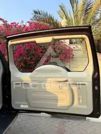 2017 Mitsubishi PAJARO
