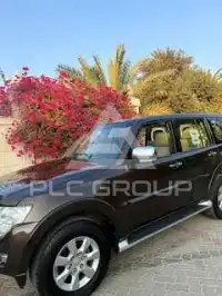2017 Mitsubishi PAJARO
