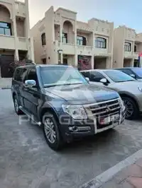 2017 Mitsubishi PAJARO