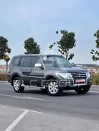 2017 Mitsubishi PAJARO