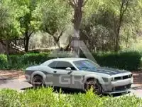 2017 Dodge CHALLENGER