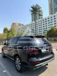 2017 Mercedes Benz GLE-Class