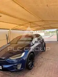 2017 Tesla Model X