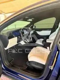 2017 Tesla Model X