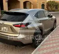 2017 Lexus NX