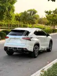 2017 Lexus NX
