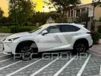 2017 Lexus NX