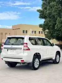 2017 Toyota Prado