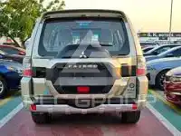 2018 Mitsubishi PAJARO
