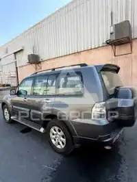 2018 Mitsubishi PAJARO