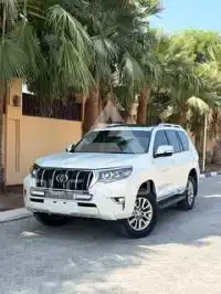 2018 Toyota Prado