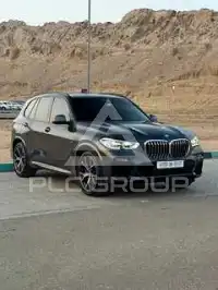 2019 BMW X5