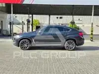 2019 BMW X6
